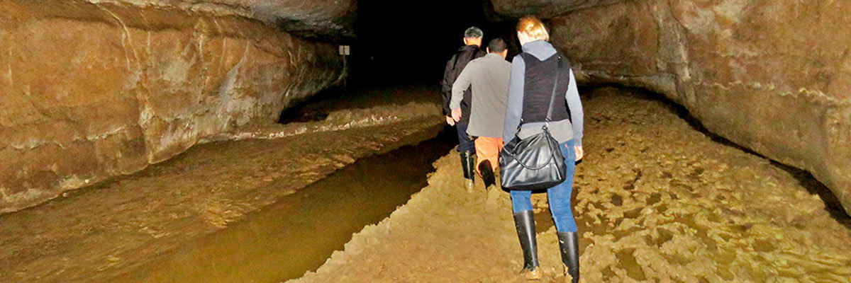 Sarcophagus of Karajía and Quiocta Cavern Full Day  en Chachapoyas 